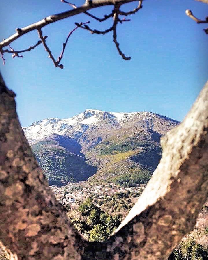 Auberge Casa Mathea Poggio-di-Venaco エクステリア 写真